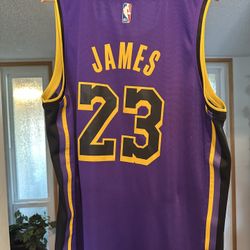 Fanatics Lakers Jersey 