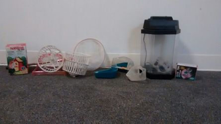 Pet Accessories