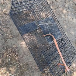 Large Anamil Trap 