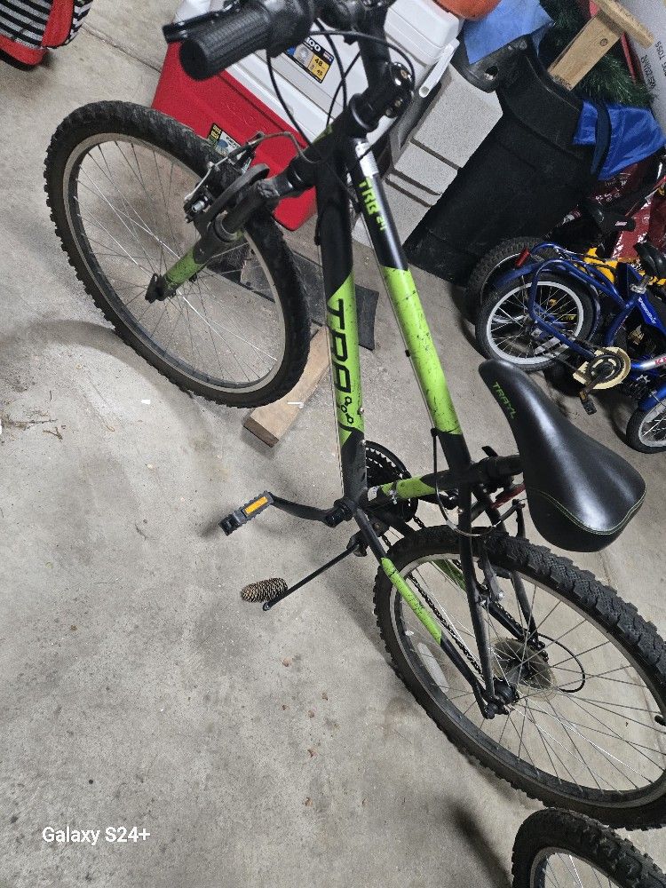 Adult Bike