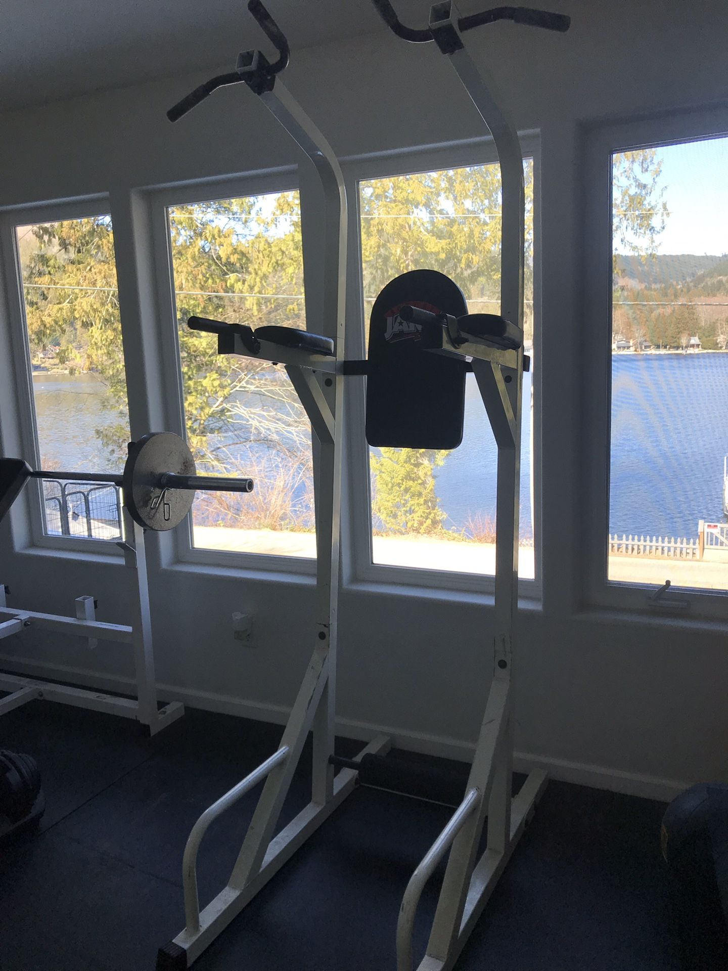Body By Jake Pull-Up/Dip/Knee Raise Power Tower