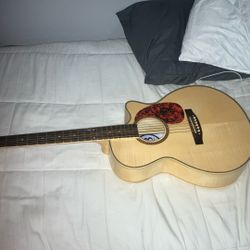 Acoustic Guitar 