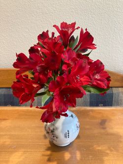 Alstroemeria Inca Bandit Red Peruvian Lily Princess Lily Flowering Plant in 10” Planter