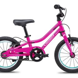Guardian 14 Inch Bike  with Training Wheels