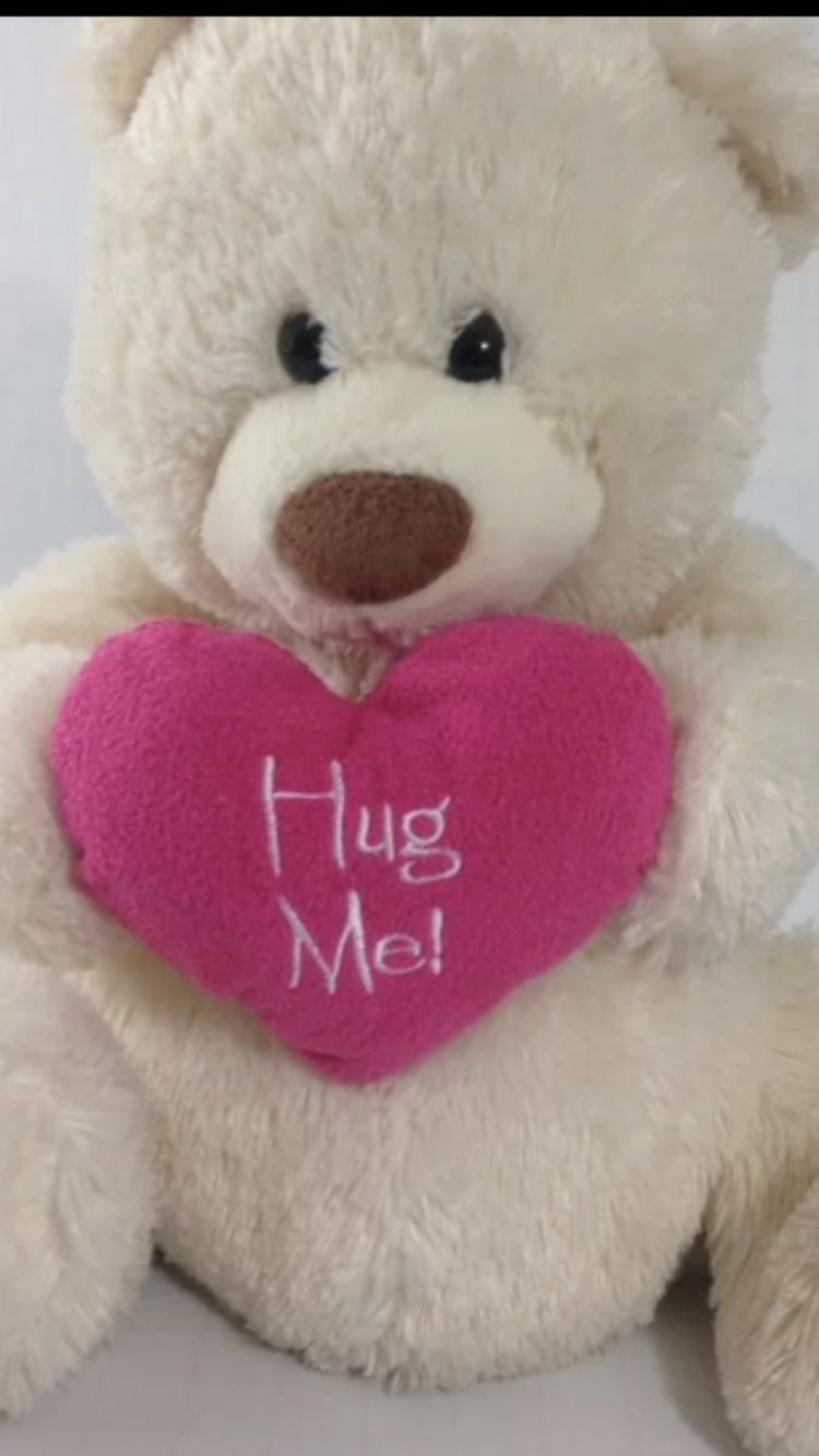 Hug me Cuddle Teddy Bear plush