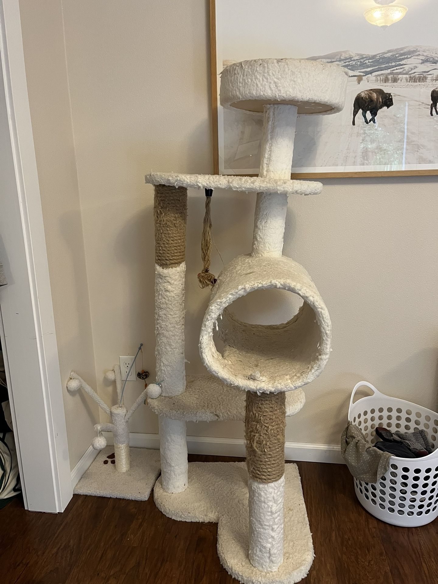 Cat Tree And Toys