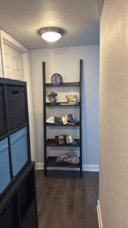 Ladder Book shelf