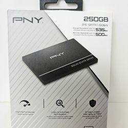 NEW PNY Internal Drive
