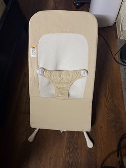 Baby Delight bouncer 