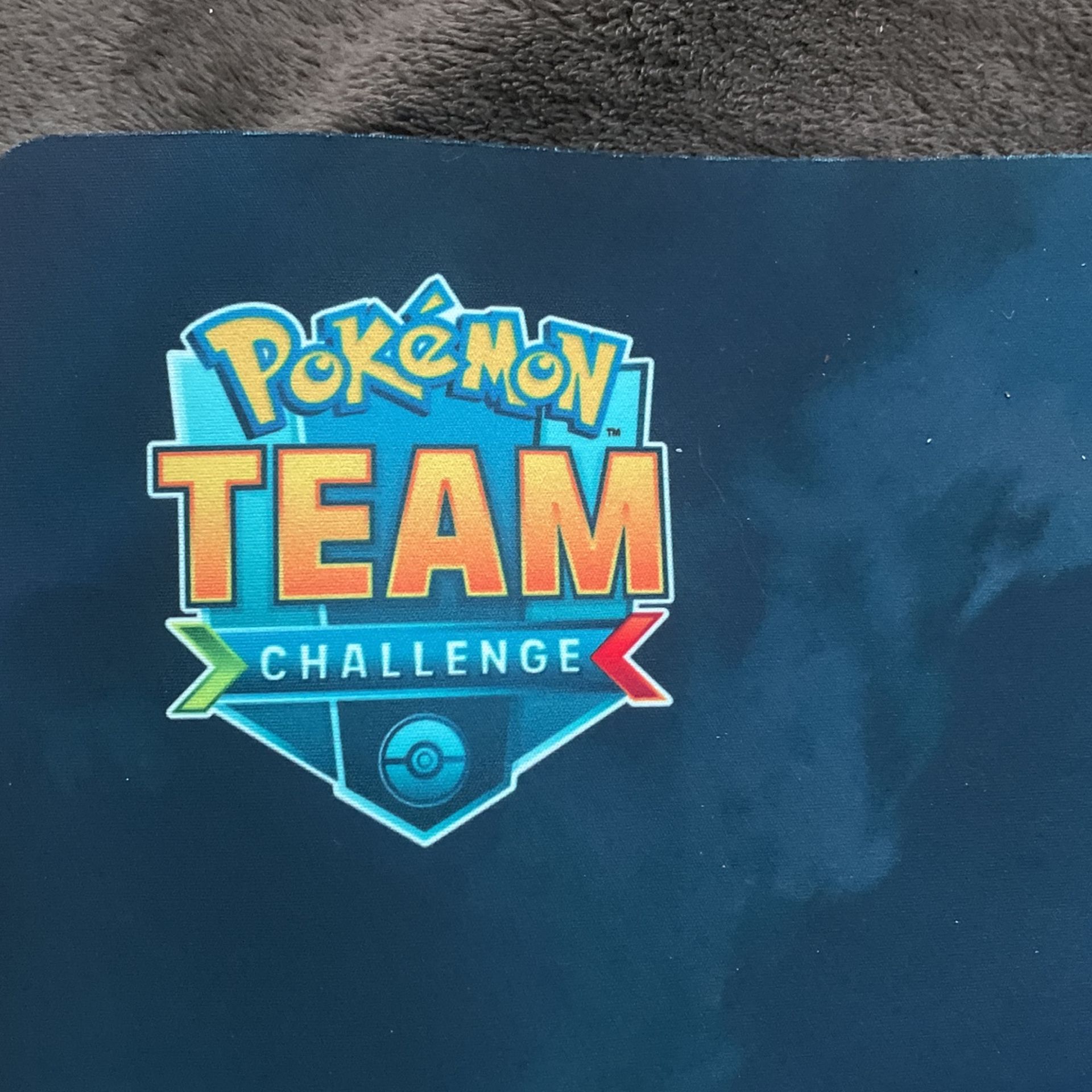 Pokémon Mate