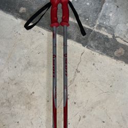 Ski Poles