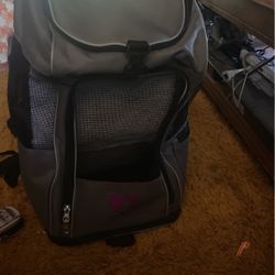 Small Dog Backpack Carrier