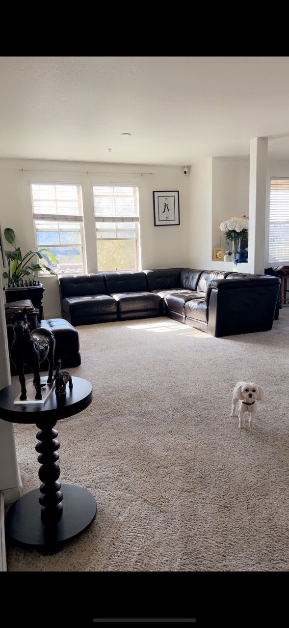 Used But Still Brand New Couch
