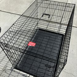 Xl Dog Kennel 