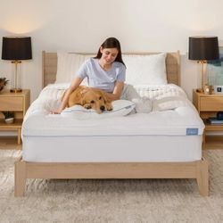 Serenity by Tempur-Pedic 2+1  [ 2 QUEEN Pillows  /Mattress Topper- TWIN 