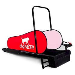 Used dog pacer LF 3.1 Treadmill