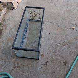 Fish Tank 40 Gallon 
