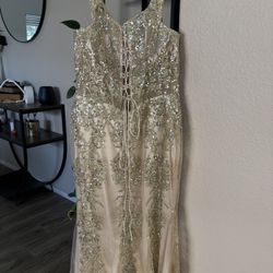 Quinceañera Mom Dress 