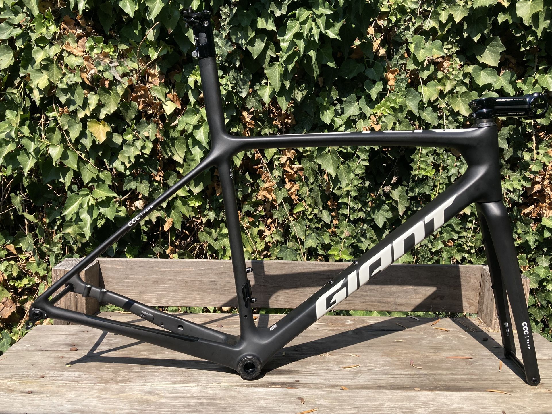 Giant TCR Advanced SL frameset (medium)
