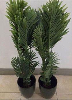 *** CLEARANCE *** PAIR of 50in Faux Golden Cane Palms in 11in (Tall) Green Planters (2 for $80) @ Lasting Creations