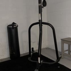 Everlast Powercore Dual Bag and Stand