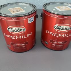 Glidden Interior Paint