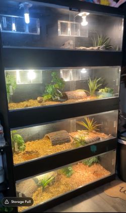 Reptile Enclosure