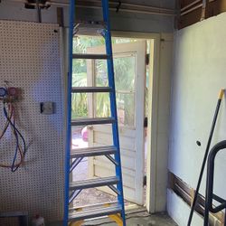 8 Foot Werner Ladder