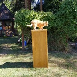 3 Shelf Wooden Cabinet 