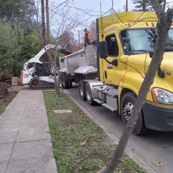 Bobcat Hauling