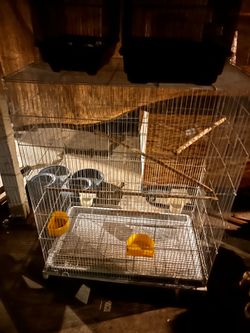 Bird cages