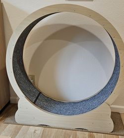 Cat exercise wheel