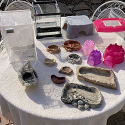 Reptile Supply Lot