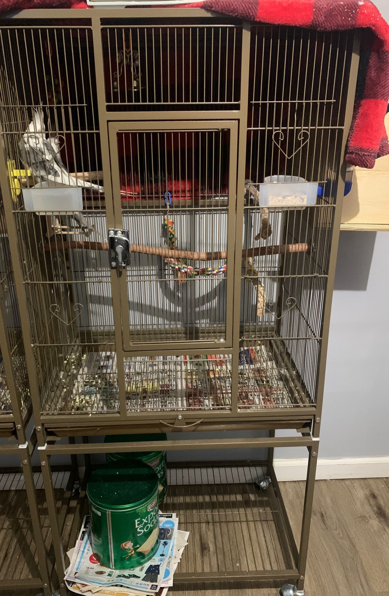 Cage Bird