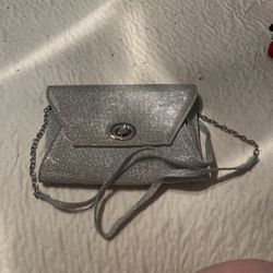 Silver Purse