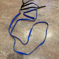 NEW Harness/Leash