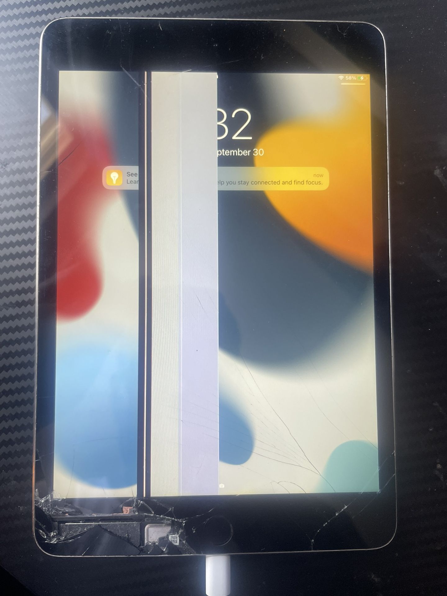 iPad Mini 4