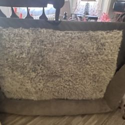 Elevated Dog Bed 