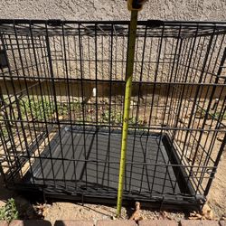 Dog Kennel