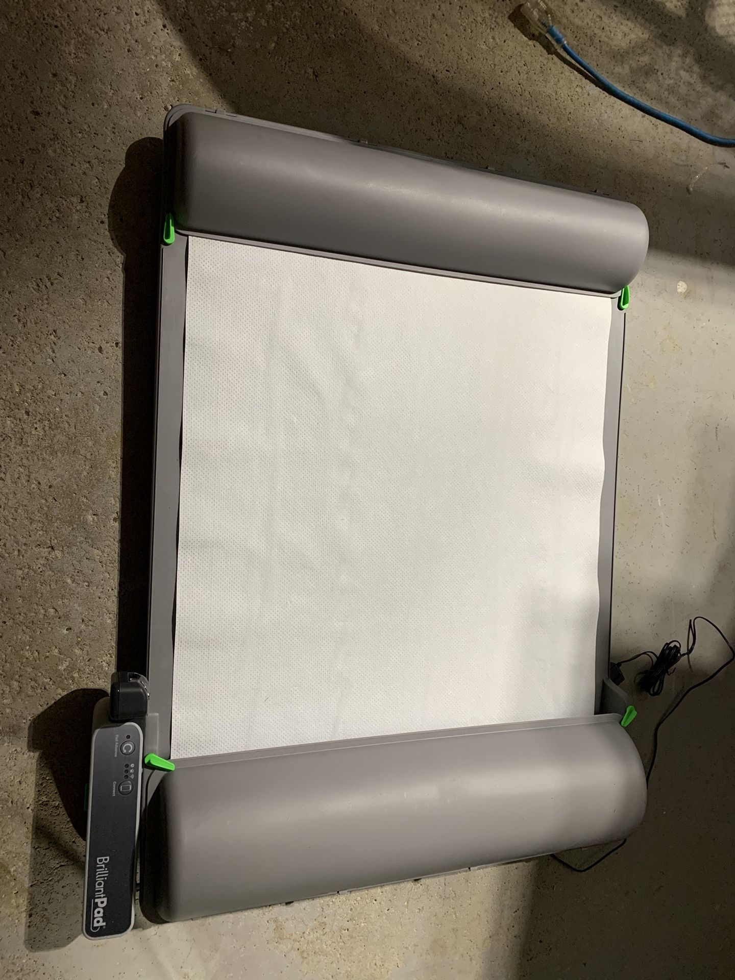 Brilliant Pad Indoor Dog Potty