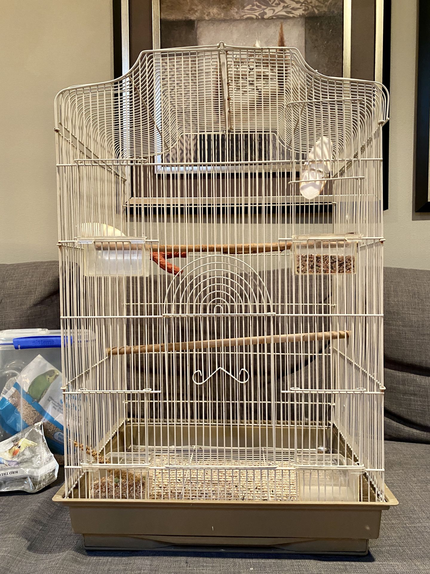 Extra large bird cage with accessories