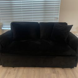 Pull Out Couch Bed In Good Shape . I Had It For 6 Months 