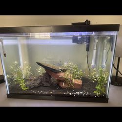 20 gallon Fish Tank