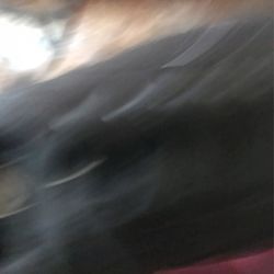 Vanz