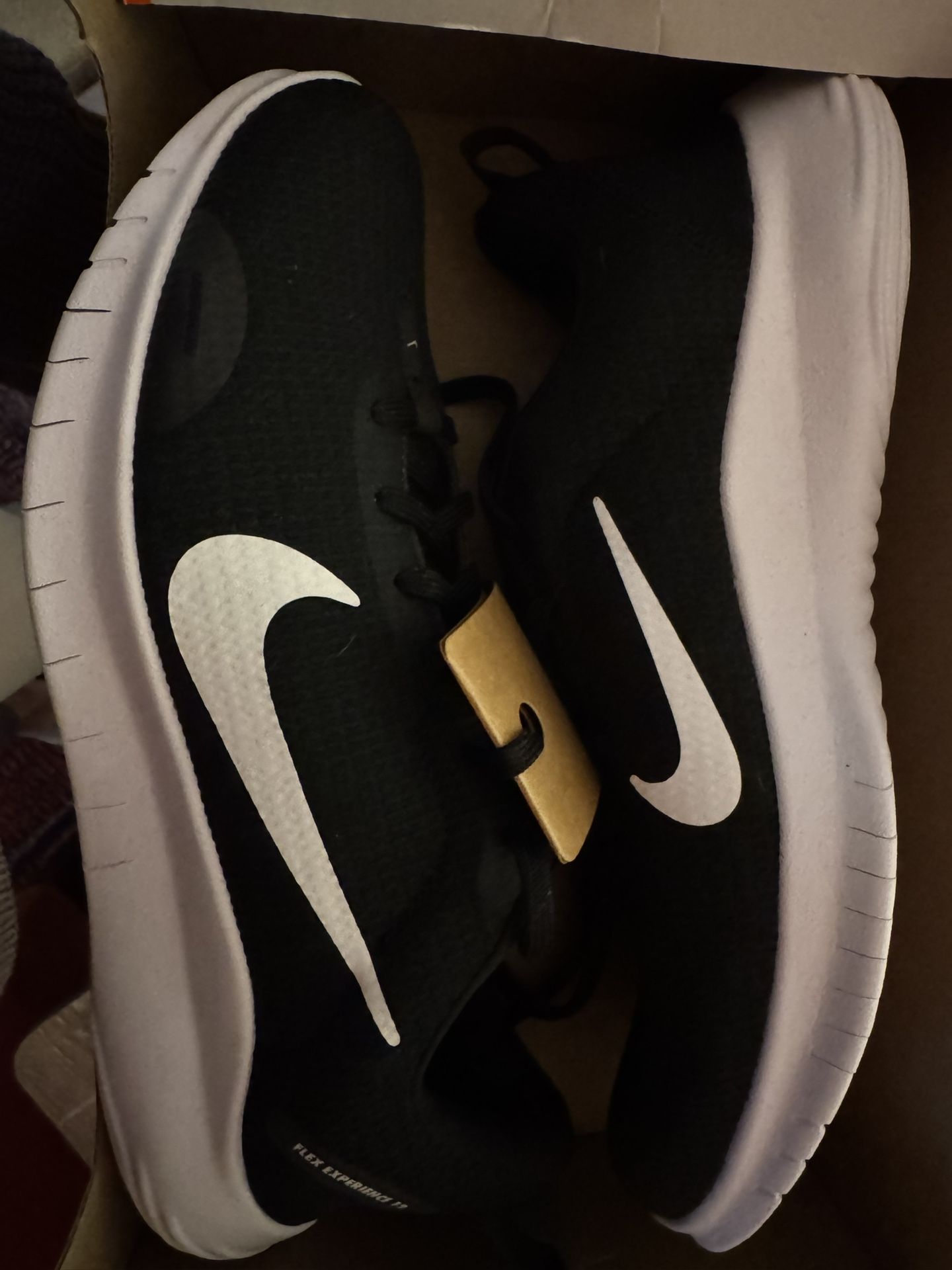 Nike flex Experience 12 Running Shoes