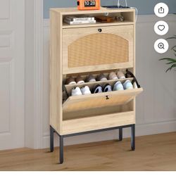 Shoe Storage Cabinet