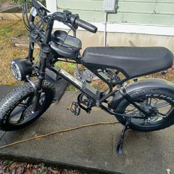 Electric Bike