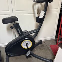 LifeSpan Fitness - C5i Upright Bike