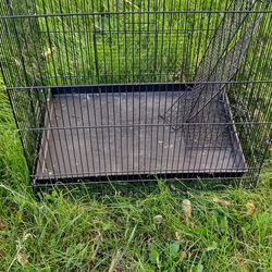 Black Critter Cage