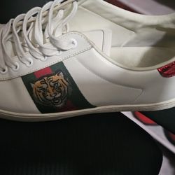 Gucci sneakers- Size 11 